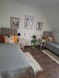 Apartamenty TUTERRA IV - 5