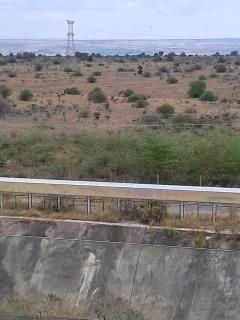 Favorite Staycation by Janice - Modern Comfort Near Airport - 6