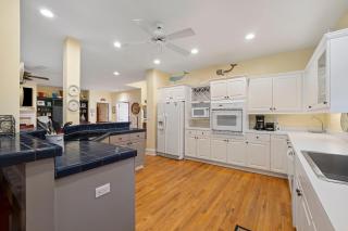 GWT397: 397 Green Winged Teal - 6