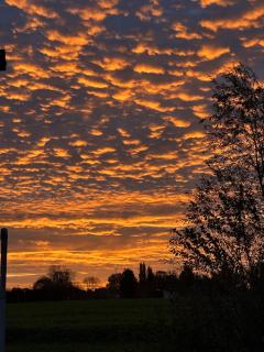 B&B De Rentmeesterhoeve - 8