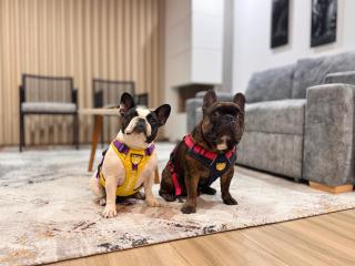 Vive la vida al norte de Bogota 501 - 8