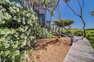 WS4411: 4411 Windswept - 6