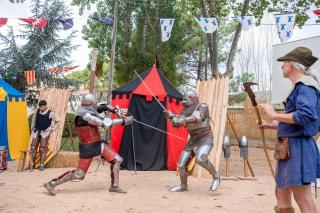 Castell de Tati - Castell-Platja d'Aro - 9