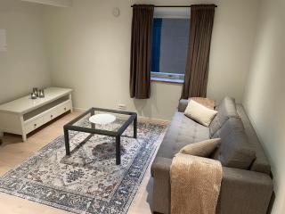 Bright&Cozy 2 Bedroom Apartment 15 min from Tromsø - 4