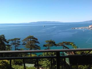 VILLA VOLOSKO with private parking and breakfast,seaview - Volosko - 9
