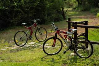 Wit Hangmat Bush Retreat - 0