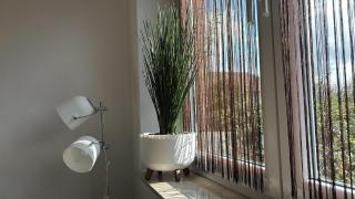 Pension Hirschburg Ferienwohnung 11 - Bad Sülze - 8