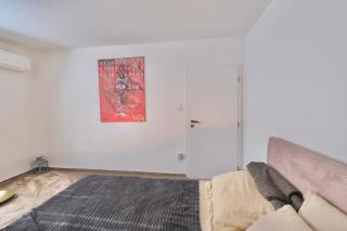 Shelter & Friends at Trnavské mýto - 1