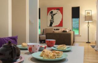 Woodview Studio - Westport - 3