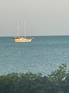 АПАРТАМЕНТ ЗА ГОСТИ ОКТОПОД к-кс КАРПЕ ДИЕМ - 8