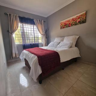 Carl Street Gardens - 4