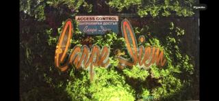 АПАРТАМЕНТ ЗА ГОСТИ ОКТОПОД к-кс КАРПЕ ДИЕМ - 9