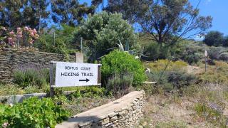 Birdsong Barrydale - 2