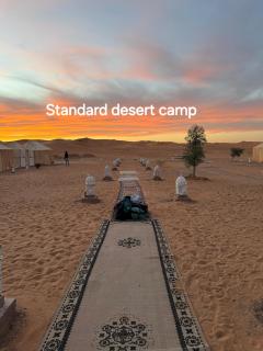 Standard Desert Camp - 9
