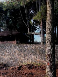 KAIA Camp by Kalimaya - 8