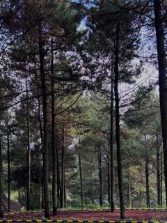 KAIA Camp by Kalimaya - 1