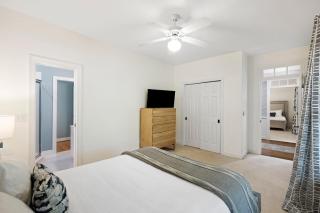 SM14: 14 Silver Moss - 1