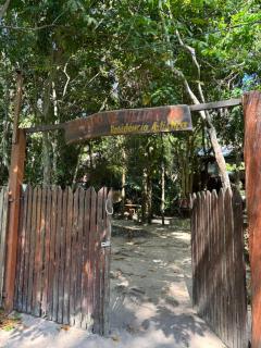 Campo de Heliantos - 8