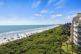 WS5127: 5127 Windswept - 2