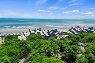 WS4460: 4460 Windswept - 3