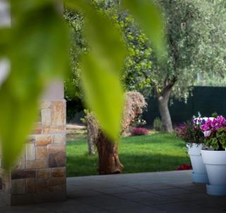 Villa Pasitea - Nature & Sea Retreat in Gargano, Puglia - 6