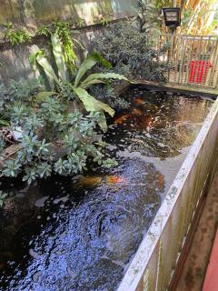 Nina Villa Weligama - 2