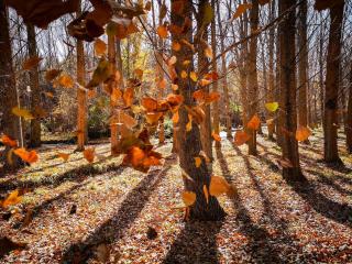 DonPepo Guesthouse - 5