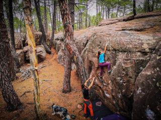 DonPepo Guesthouse - 6