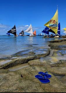 Flat com Rooftop à 100metros das Piscinas Naturais - 8