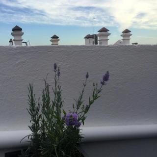 Cosy Estudio in the heart of Principe Real - 3