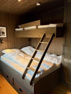 Hemsedal ski in ski out, modern comfort by the slopes - 1