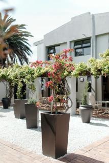 Whale Away Guest House - 4