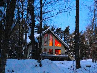 Beautiful Two-Bedroom Cabin Rental Set in the Forests of the Berkshires, Massachusetts - 5