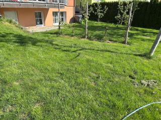 schöne Einliegerwohnung mit Stellplatz - 6