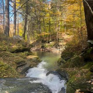 Spacious Cabin Rental next to Balsam Mountain in Upstate New York - 6