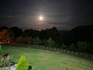 Dumbrava Ursului - Zărneşti - 2