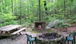 Romantic Cabin Rental with Fire Pit near Great Smoky Mountains National Park in Tennessee - 9