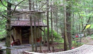 Romantic Cabin Rental with Fire Pit near Great Smoky Mountains National Park in Tennessee - 7