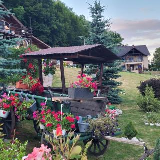 Dumbrava Ursului - Zărneşti - 3