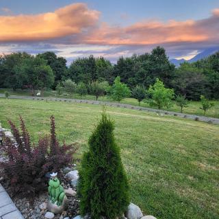 Dumbrava Ursului - Zărneşti - 4