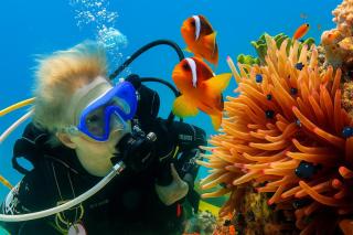 Elysian Hideaway - 5