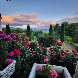 Dumbrava Ursului - Zărneşti - 5