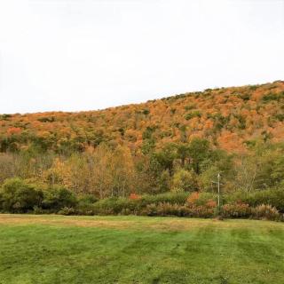 Spacious Cabin Rental next to Balsam Mountain in Upstate New York - 3