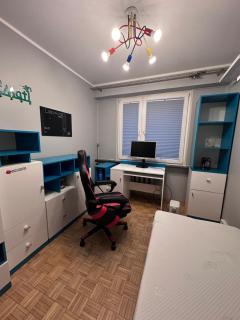 Mieszkanie do wynajęcia - 8