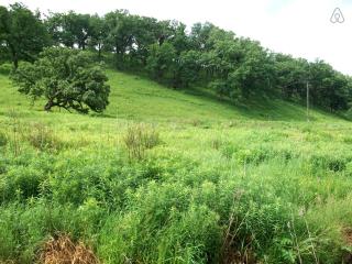 Country Cottage Rental on 50 Acres of Sublime Land in Southwest Wisconsin - 4