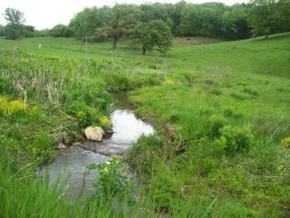 Country Cottage Rental on 50 Acres of Sublime Land in Southwest Wisconsin - 2
