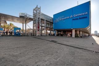 Bright Apartment Genova - 2