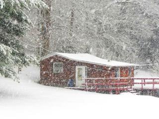 Rustic Cabin Rental near Akron, Ohio - 6