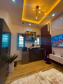 Modern Studio apartment in Yaba - 3