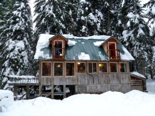 Secluded Ski-In and Ski-Out Cabin with Private Sauna on Mount Hood in Oregon - 0